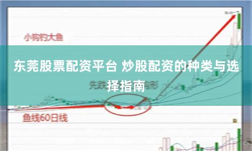 东莞股票配资平台 炒股配资的种类与选择指南