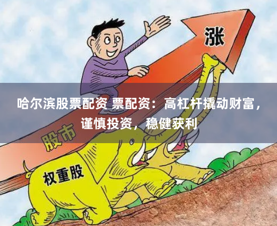 哈尔滨股票配资 票配资：高杠杆撬动财富，谨慎投资，稳健获利