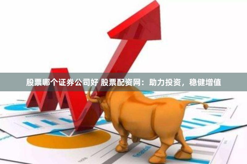 股票哪个证券公司好 股票配资网：助力投资，稳健增值