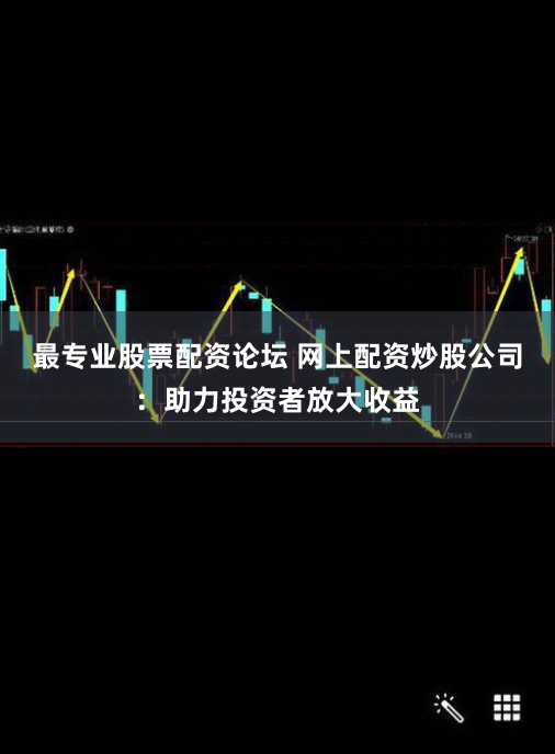 最专业股票配资论坛 网上配资炒股公司：助力投资者放大收益