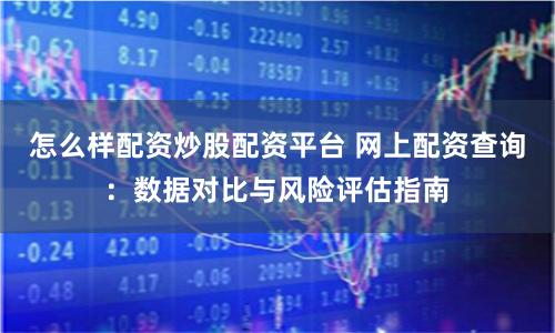 怎么样配资炒股配资平台 网上配资查询：数据对比与风险评估指南