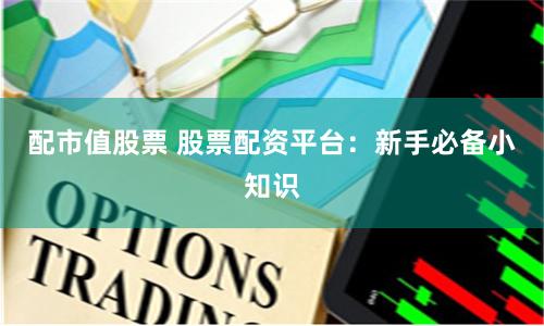 配市值股票 股票配资平台：新手必备小知识